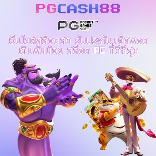 เว็บcat888ดีไหม